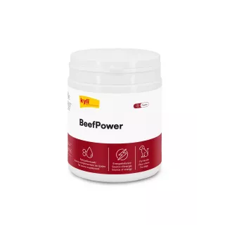 BeefPower 250 g