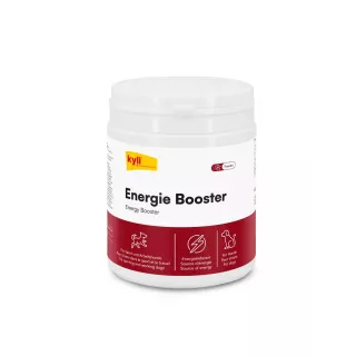 Energy Booster 350 g