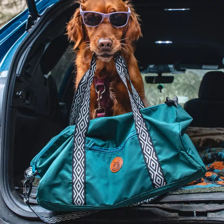 sac de voyage Dog Duffel