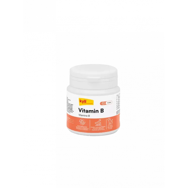 Vitamine B - 120 g