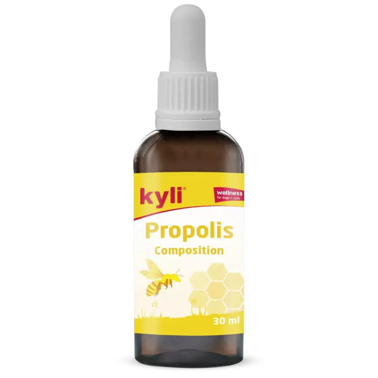 Propolis Composition 30 ml