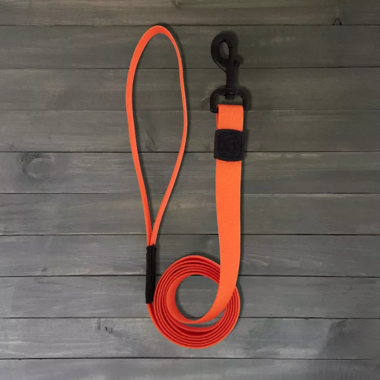 Laisse Waterproof Orange