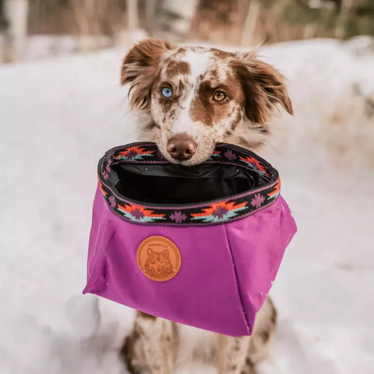 Backpacking Bowl Huckleberry