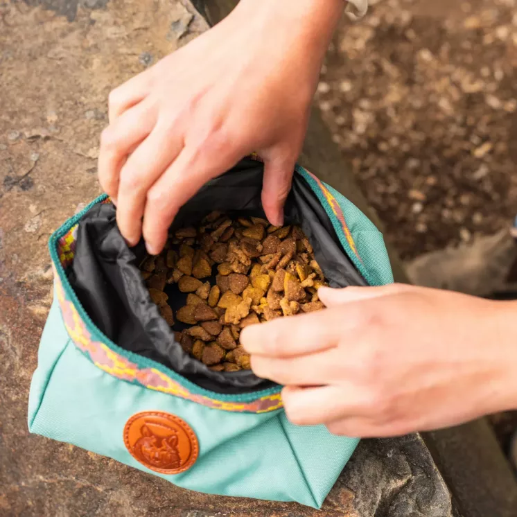 Backpacking Bowl Seafoam