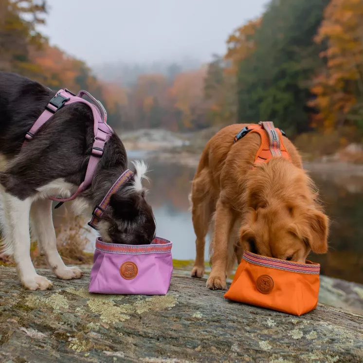 Backpacking Bowl Sienna